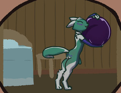 Kuromaru Kuro Town Secret & Kuromaru Shiro Town Secret