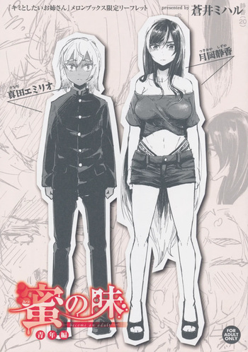 Kimi to Shitai Onee-san Melonbooks Tokuten 4P Leaflet cover