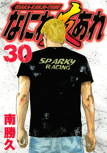 Naniwa Tomoare 2007 Volume 30 cover