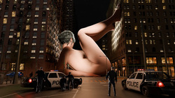 Felynarii Evening Incident