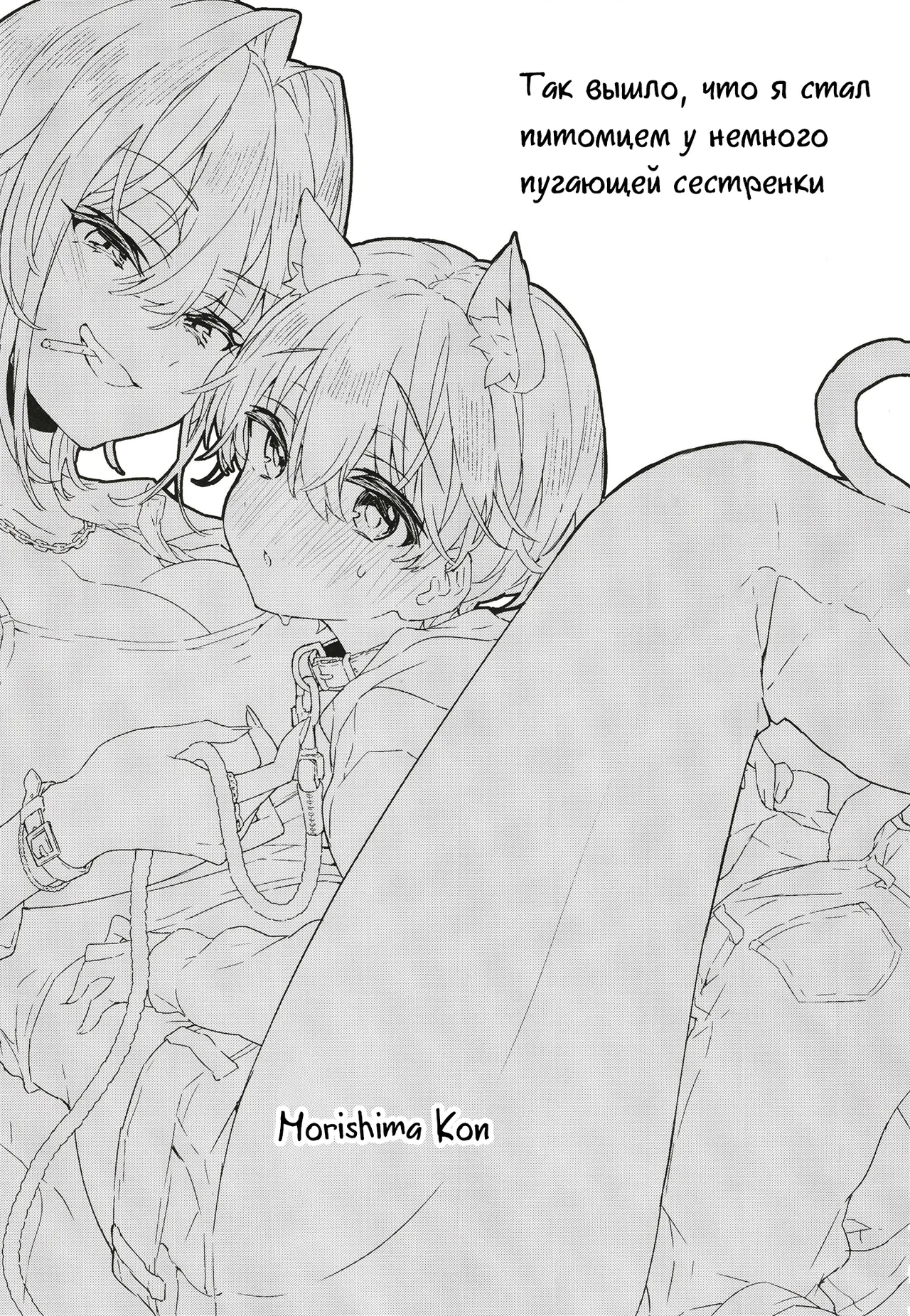 Chotto Kowai Onee-san ni Katte morau Koto ni Narimashita. | Так вышло, что я стал питомцем у немного пугающей сестренки page 2 full