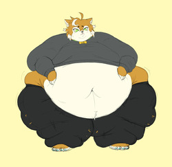 Super Sized Shibe Collection