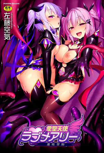 Aisei Tenshi Love Mary ~Akusei Jutai~ cover