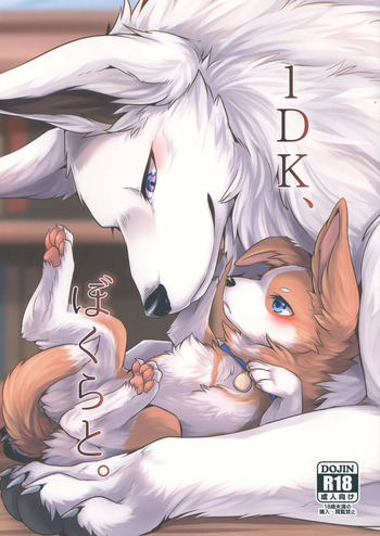 1DK cover
