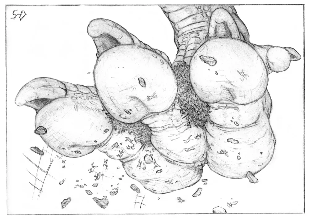 Macro Character Collection page 6 full
