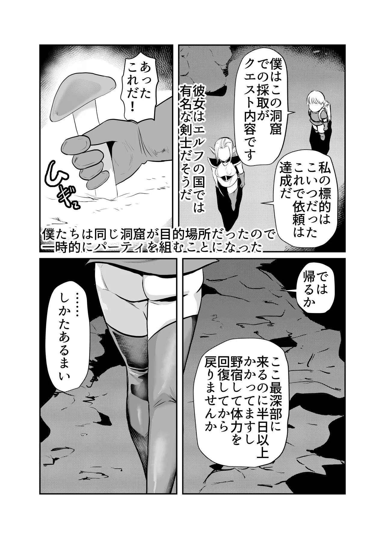 Nikuyoku ni Mezameta Elf page 3 full