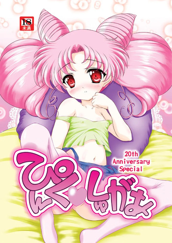 sailor moon art compilation cover