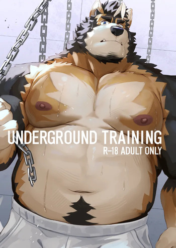 UNDERGROUND TRAINING cover