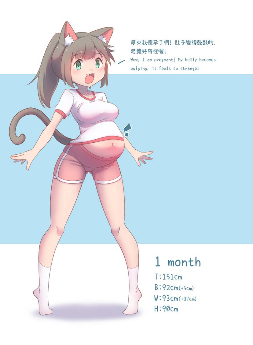 CatChan Pregnancy Observation Record! page 2 full