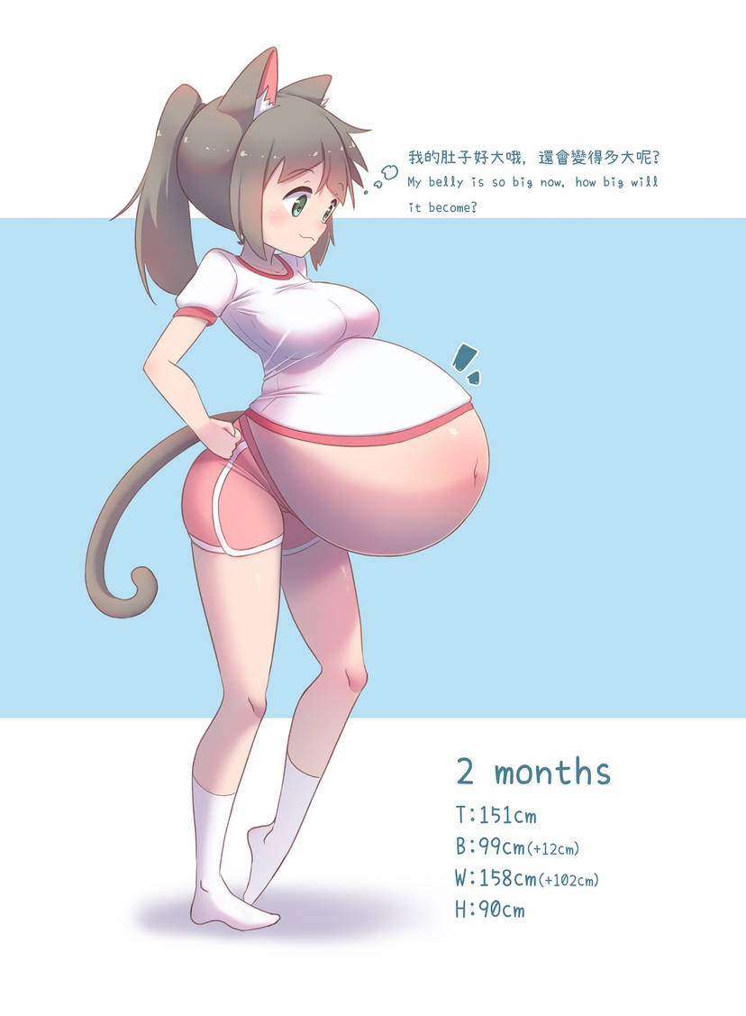 CatChan Pregnancy Observation Record! page 4 full
