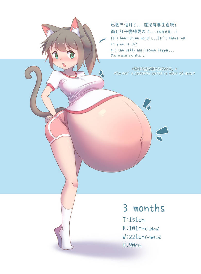 CatChan Pregnancy Observation Record! page 6 full