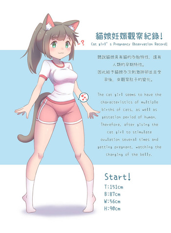 CatChan Pregnancy Observation Record! cover
