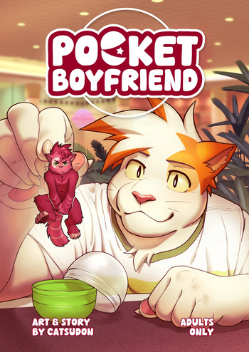 Pocket Boyfriend cover