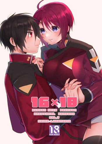 16×18 cover