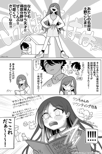 どっちが犬でSHOW! 完全版 cover