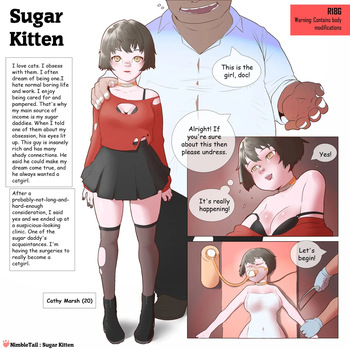 nimbletail Sugar Kitten cover