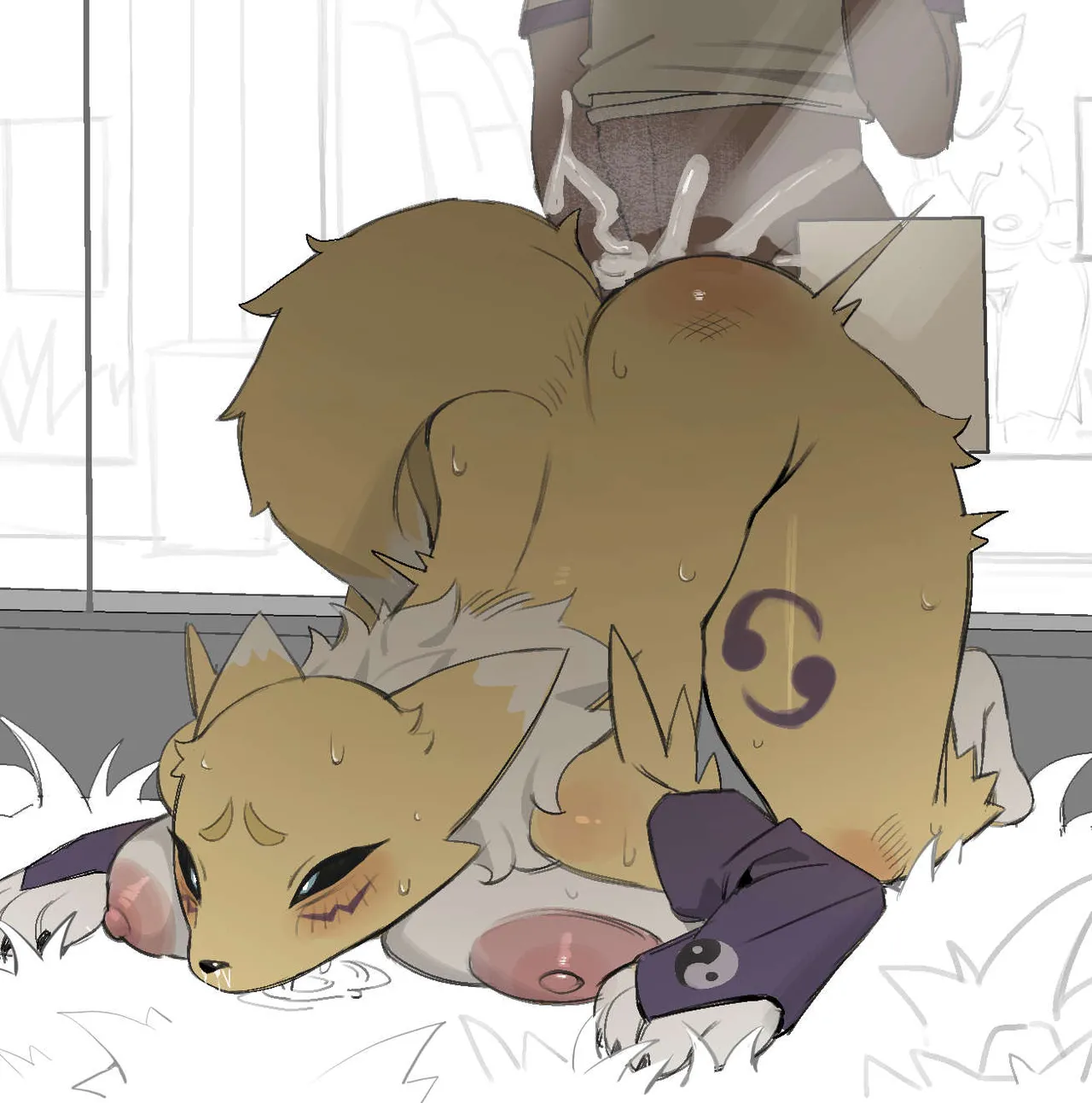 Be very careful around animals that are in heat at the zoo! page 8 full