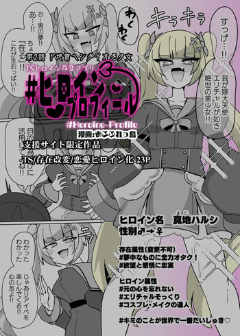 Heroine Profile ② cover