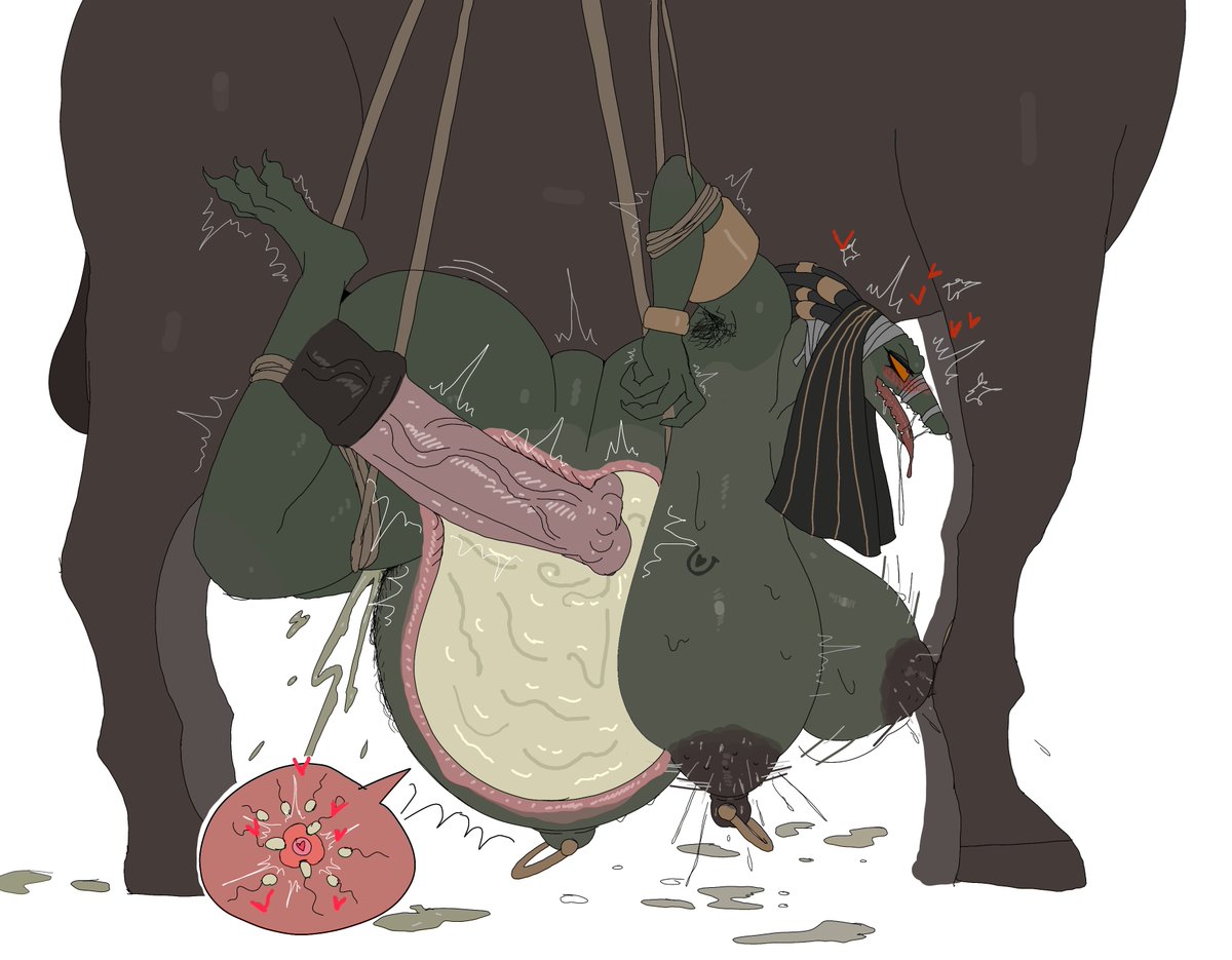 im51nn5 page 2 full