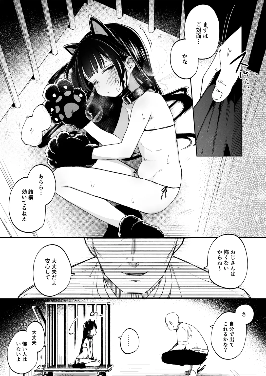調整記録 ご主人様の元へ届くまで page 5 full