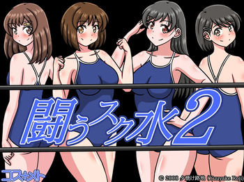 Fighting Swimsuit 2 cover