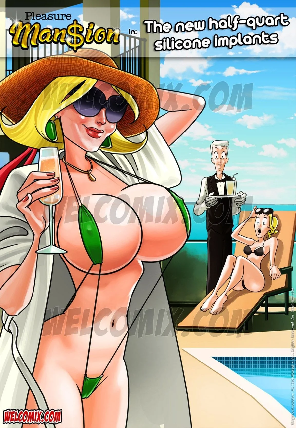 Pleasure Mansion in The new half-quart silicone implants page 1 full