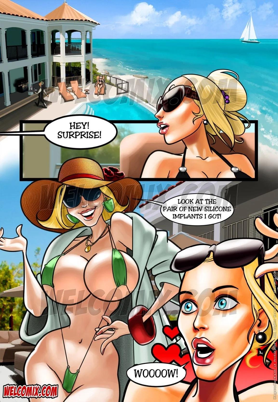 Pleasure Mansion in The new half-quart silicone implants page 2 full