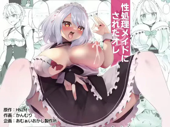 I Turned Into a Sexual Relief Maid cover