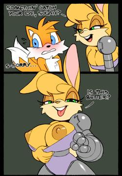 Tails x Bunnie