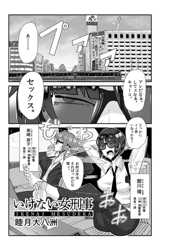 Naughty Female Detective cover