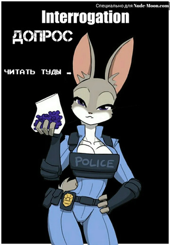 Interrogation cover