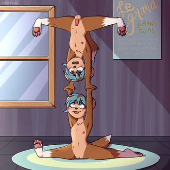 Otter Twins cover