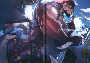 INSANE MANIAC cover