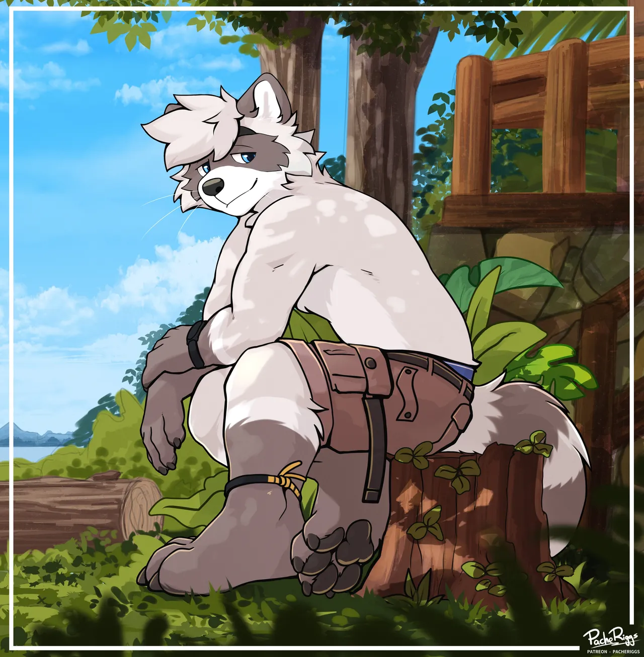 PacheRiggs page 3 full