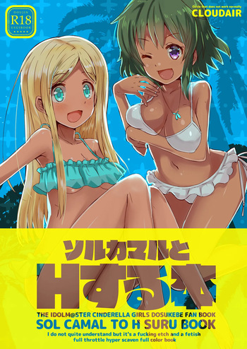 SOL CAMAL TO H SURU BOOK cover