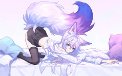 梦夕玄 丨 桀桀玄  2026.03.06