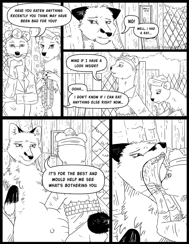 Nino and Viola Stoat series page 3 full
