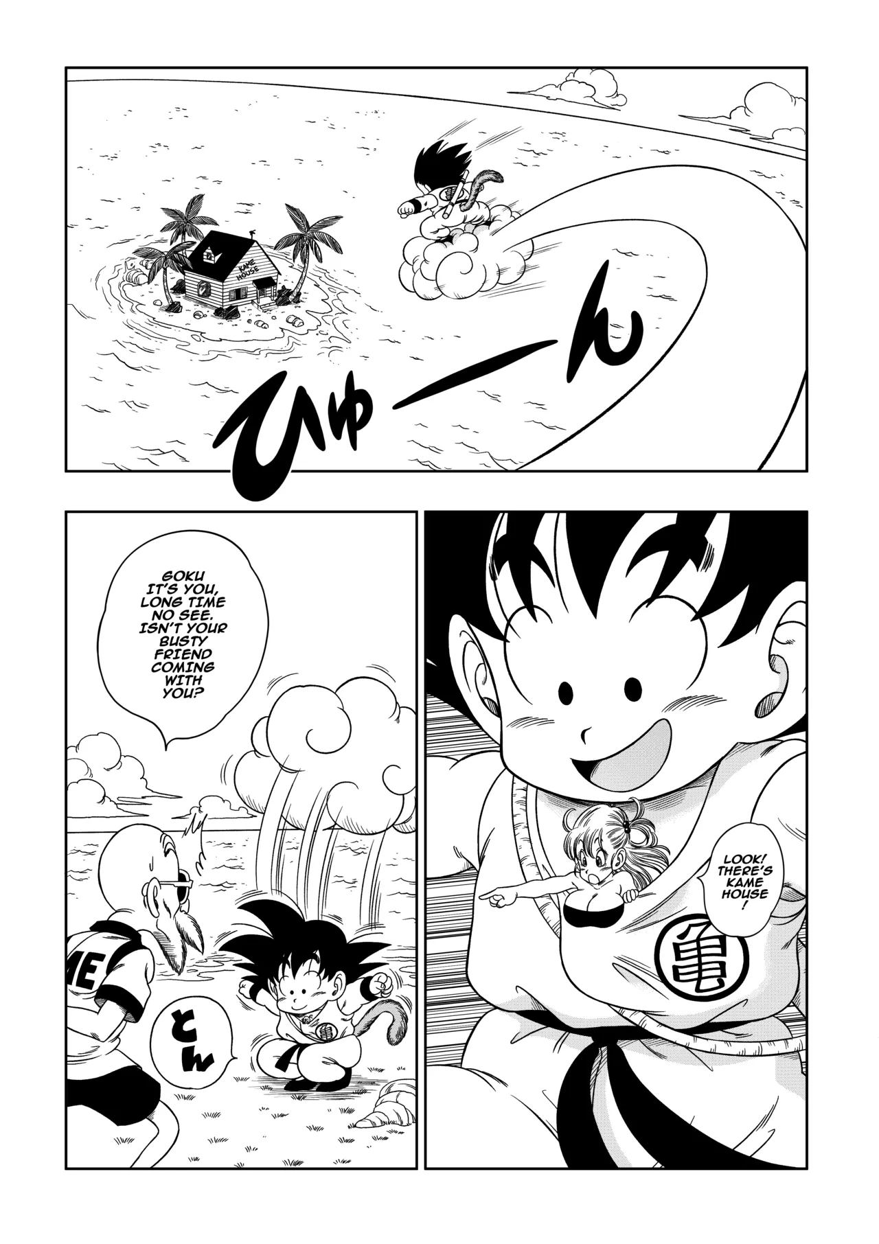 Kame Toilet | Turtle Toilet page 2 full