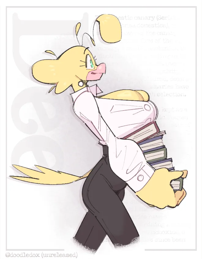  page 8 full