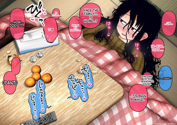 Otaku Ane 2 cover