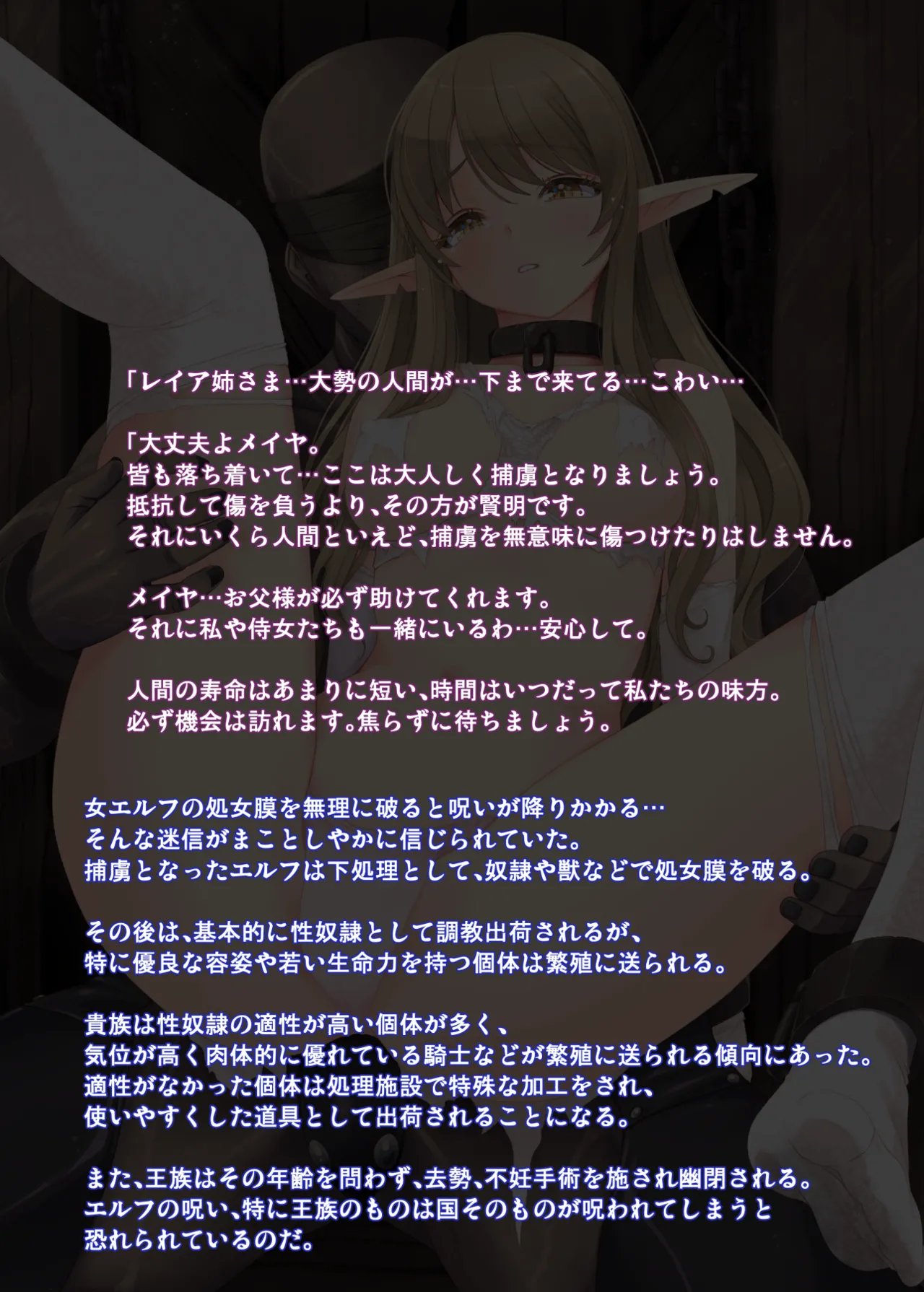 捕虜エルフ page 3 full