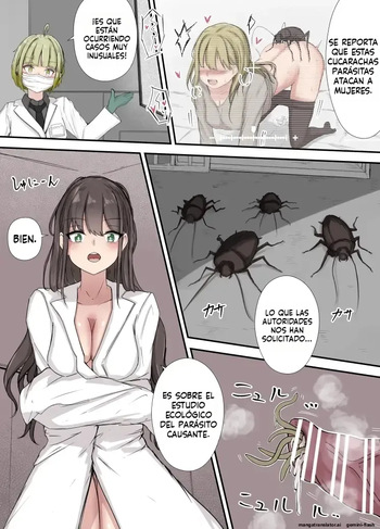 After Report  MTL cover