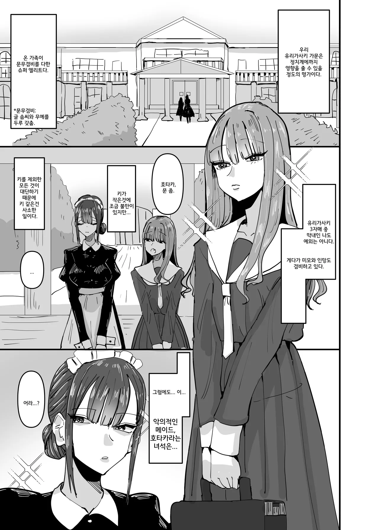 Ijiwaru na Do-S Maid o Wakarasetai Ojou-sama no Hanashi | 괴롭히는 도S 메이드를 깨닫게 해주고 싶은 아가씨의 이야기 page 3 full