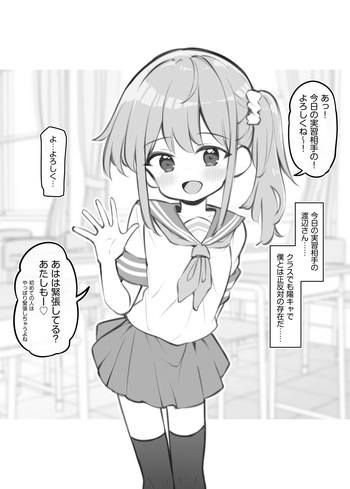 seikoui zissyuu ga aru gakkou no nitizyou cover