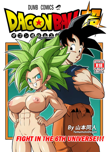 Fight in the 6th Universe! cover
