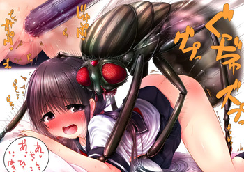 gall cover