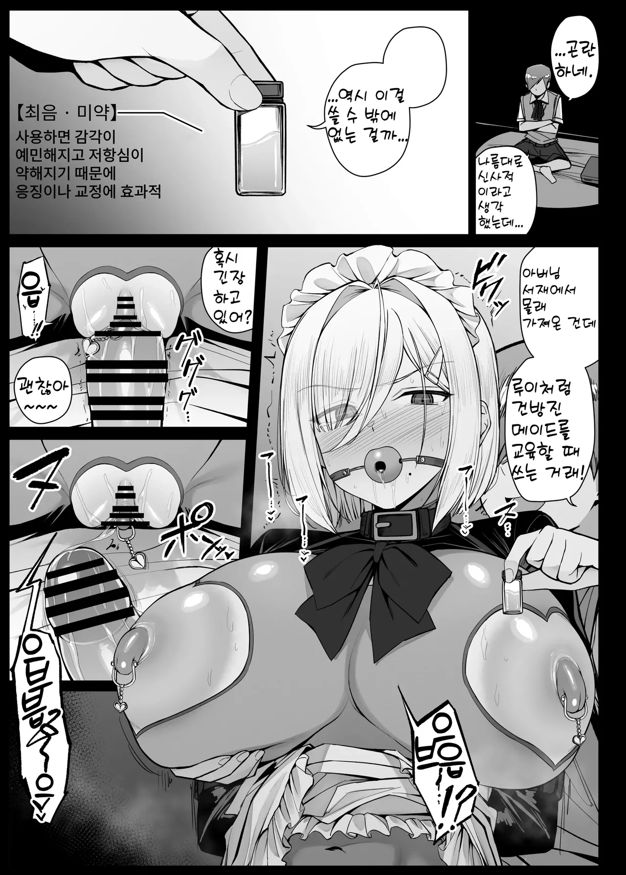 Bouchama ni sakaratte, shitsukerareru koto ni natta meido-san page 5 full