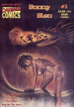 True Stories of Adult Film Stars - Bunny Bleu