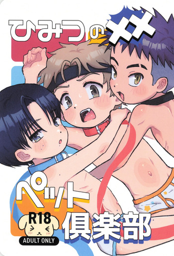 Himitsu no xx petto kurabu cover