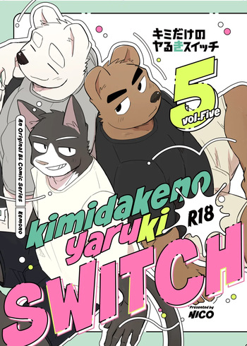 Kimi deke no Yaruki Switch5 cover